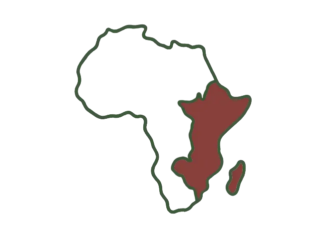 Mental Health in East Africa
