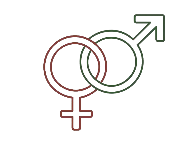 Gender Based Violence